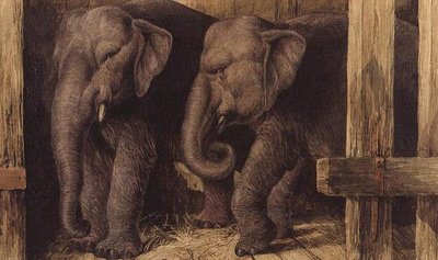 Deux éléphants - Charles Edward Brittan