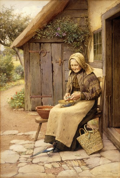 Un ami à plumes fines - Charles Edward Wilson