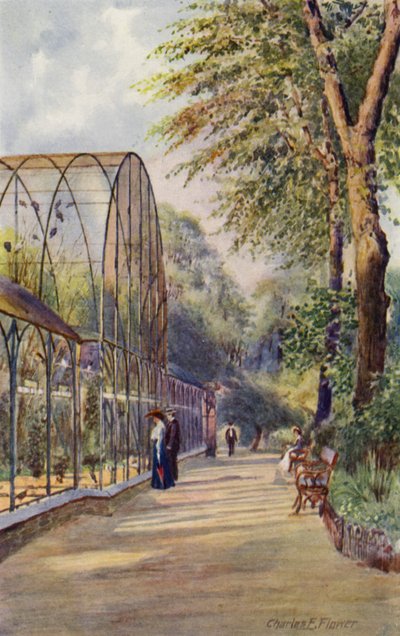 Zoo de Londres : Volière occidentale - Charles Edwin Flower