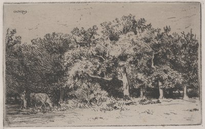Un coin de la forêt de Fontainebleau - Charles Emile Jacque