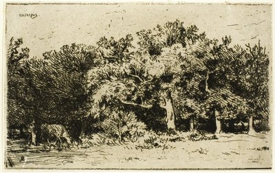 Une partie de la forêt de Fontainebleau - Charles Emile Jacque