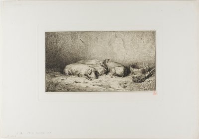 Quatre cochons endormis - Charles Emile Jacque