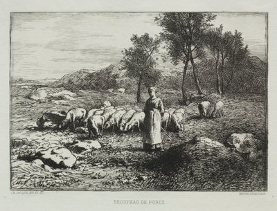 Troupeau de Cochons - Charles Emile Jacque