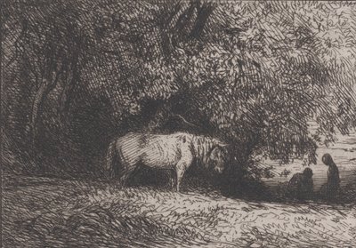 Cheval sous une branche d