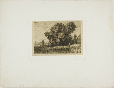 Paysage de l