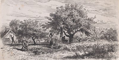 Cueillir des fruits d