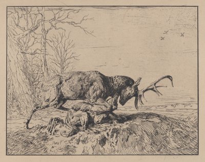 Cerf combattant un loup, d