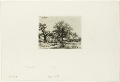 Arbres et vaches près d
