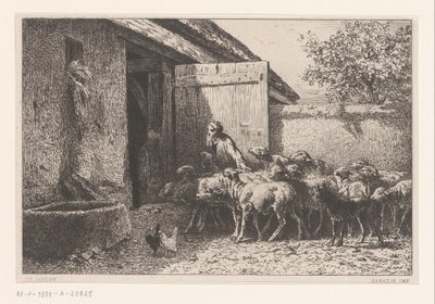 Femme conduisant des moutons à l