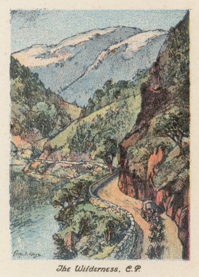 Afrique du Sud : Le Wilderness, CP - Charles Ernest Peers