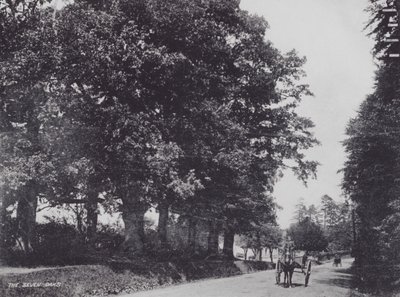 Les Sept Chênes - Charles Essenhigh Corke