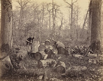Forêt de Fontainebleau - Charles Famin