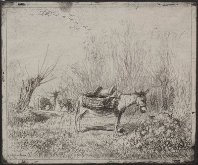 Un âne dans le champ, impression originale 1862, imprimée en 1921 - Charles Francois Daubigny