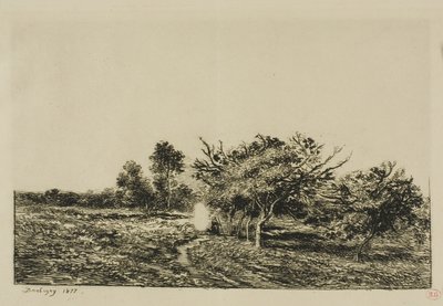 Pommiers à Auvers - Charles Francois Daubigny