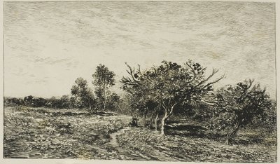 Pommiers à Auvers - Charles Francois Daubigny