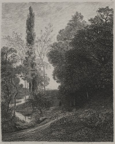 Rives de la rivière Cousin, 1850 - Charles Francois Daubigny
