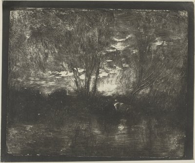 Vaches à l