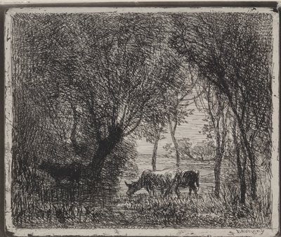 Vaches dans les bois - Charles Francois Daubigny