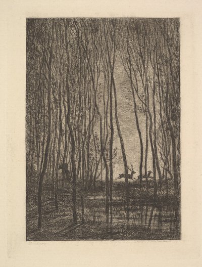 Cerfs dans les Bois, 1850 - Charles Francois Daubigny