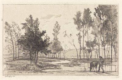 Âne à l