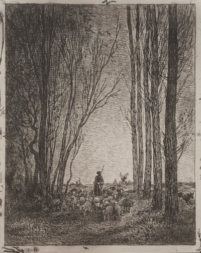 Rassemblement du troupeau - Charles Francois Daubigny