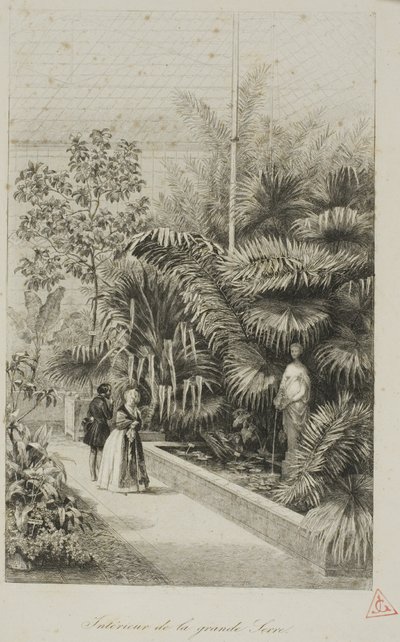 Intérieur de la Grande Serre - Charles Francois Daubigny