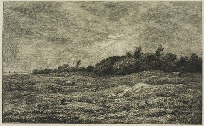 Le Pré des Graves à Villerville (Calvados) - Charles Francois Daubigny