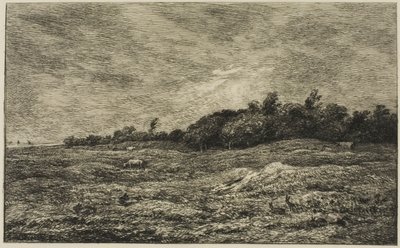 Le Pré des Graves à Villerville (Calvados) - Charles Francois Daubigny