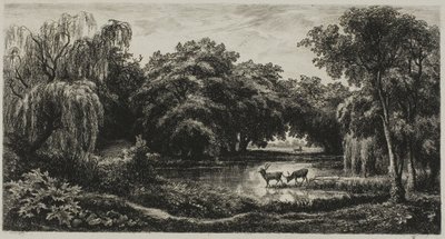 Marais avec cerfs - Charles Francois Daubigny