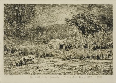 Cochon dans un verger - Charles Francois Daubigny