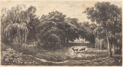 La mare aux cerfs - Charles Francois Daubigny