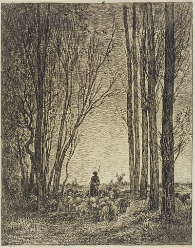 Retour du troupeau - Charles Francois Daubigny