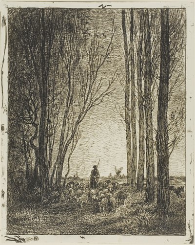 Retour du troupeau - Charles Francois Daubigny