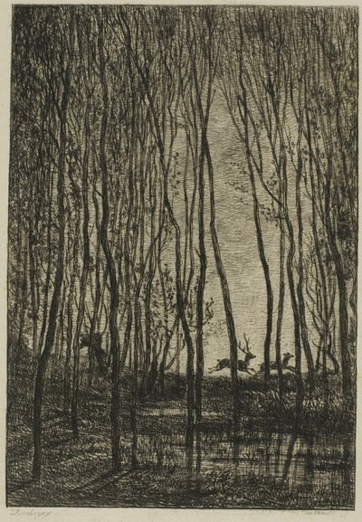 Cerfs dans les Bois - Charles Francois Daubigny