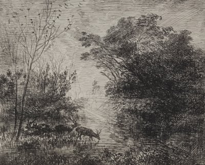 Cerfs, impression originale 1862, imprimée en 1921 - Charles Francois Daubigny