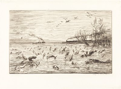 Les poissons se réjouissent quand le mousse part - Charles Francois Daubigny