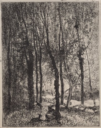 La fille du chevrier - Charles Francois Daubigny