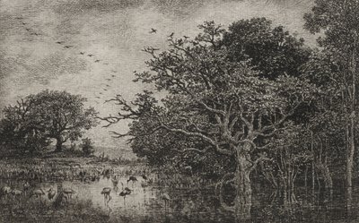 Le Marais avec des cigognes - Charles Francois Daubigny