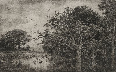 Le Marais avec des cigognes, vers 1851 - Charles Francois Daubigny