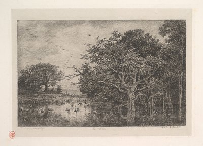 Les Marais, 1851 - Charles Francois Daubigny