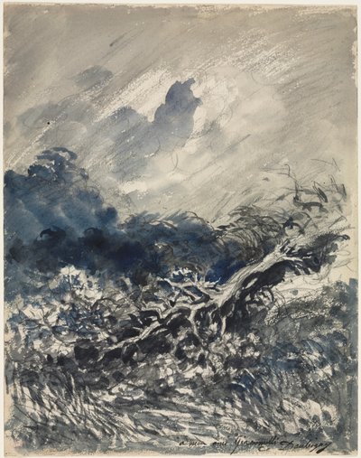 Le Chêne et le Roseau - Charles Francois Daubigny