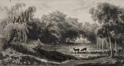 La mare aux cerfs, 1845 - Charles Francois Daubigny