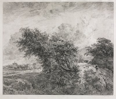 Le Fourré, 1855 - Charles Francois Daubigny