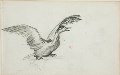 Duo sauvage (recto) ; deux figures féminines nues debout dans des niches (verso) - Charles Francois Daubigny