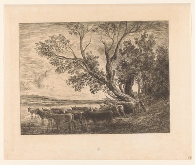 Paysage avec des bovins traversant un gué - Charles François Daubigny (attributed to)