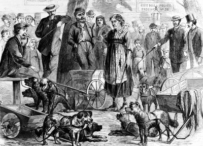 Chiffonniers arrêtés à City Hall Park, New York, de Harpers Weekly - Charles Green