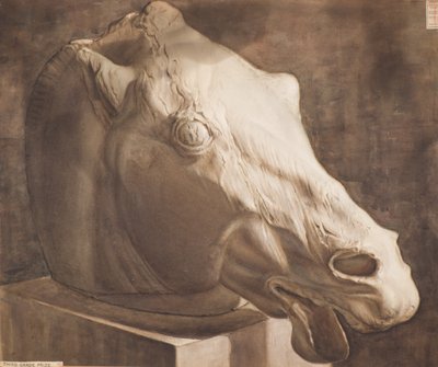 Étude - Tête de cheval du Parthénon - Charles Gustav Louis Phillips