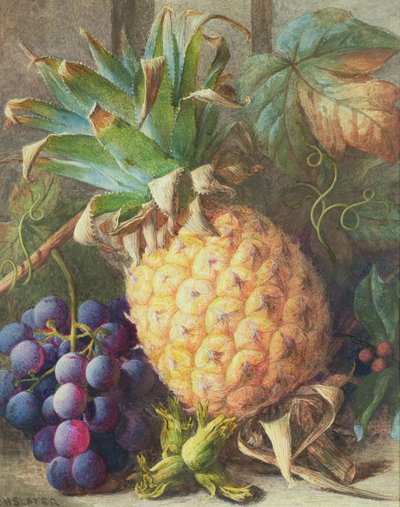Nature morte d