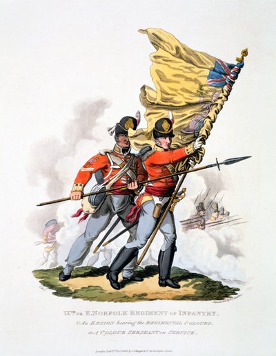 Uniforme et couleurs du 9e ou régiment d