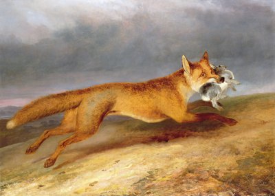 Renard s